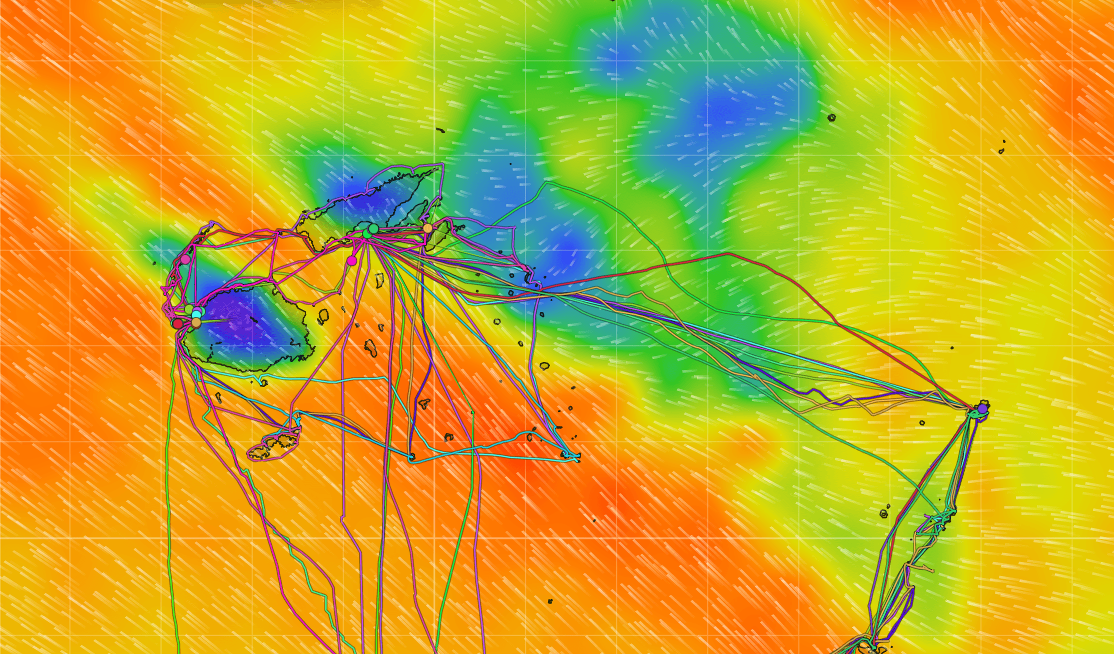 Fleet route tracks drawn across a South Pacific ocean-current map